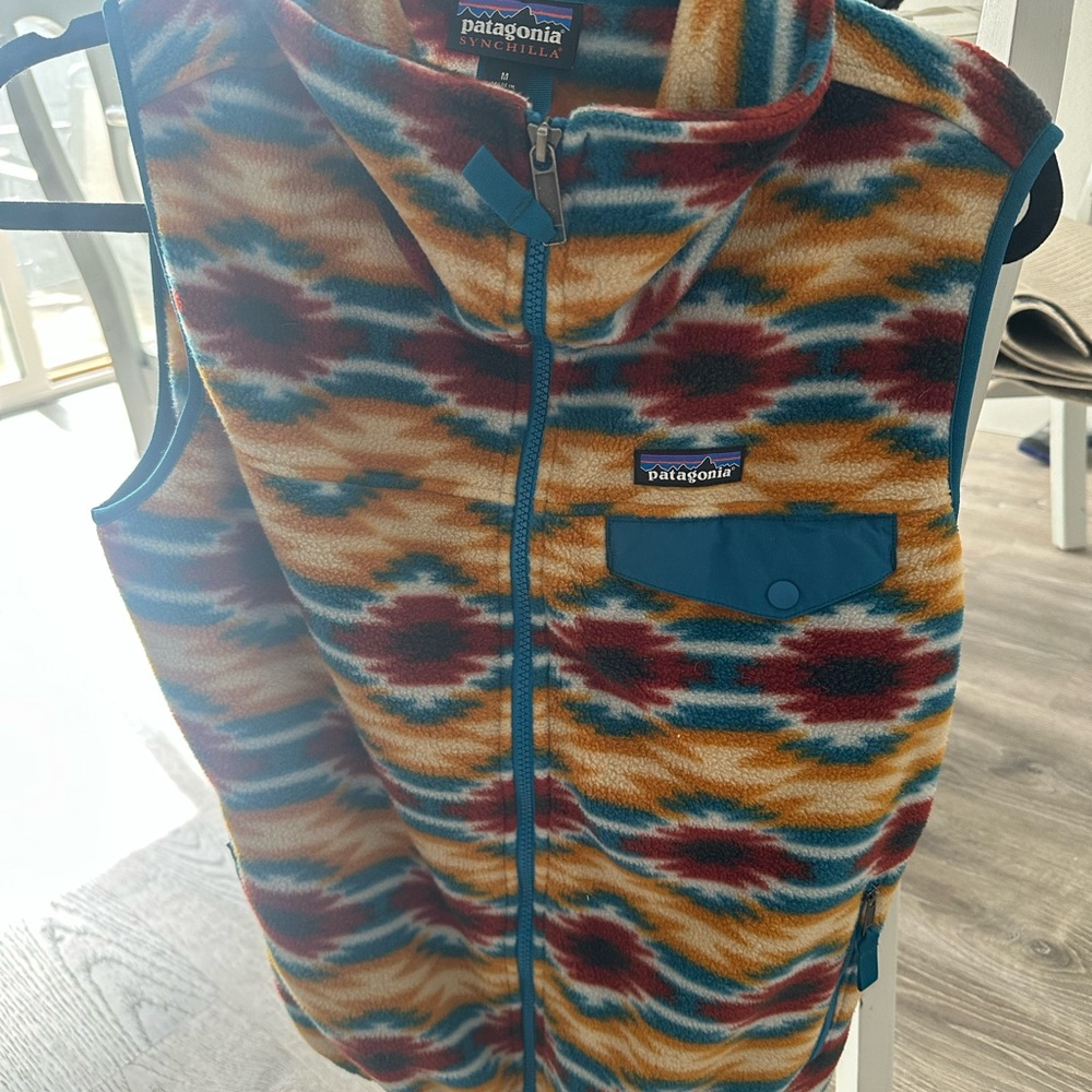 Patagonia Synchilla Multicolor Fleece Vest